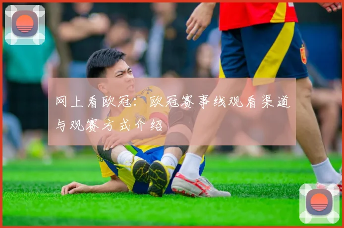 网上看欧冠:欧冠赛事线观看渠道与观赛方式介绍